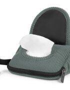 ABC DESIGN Carucior 2 in 1 Salsa 4 Air Aloe