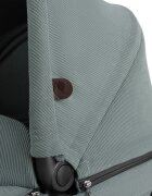 ABC DESIGN Carucior 2 in 1 Salsa 4 Air Aloe