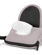 ABC DESIGN Carucior 2 in 1 Salsa 4 Air Biscuit