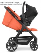 ABC DESIGN Carucior sport Avus Carrot