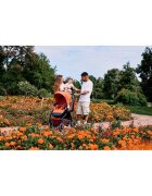 ABC DESIGN Carucior sport reversibil Samba Carrot