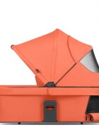 ABC DESIGN Landou Carrot