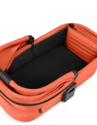 ABC DESIGN Landou Carrot