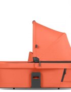 ABC DESIGN Landou Carrot
