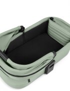 ABC DESIGN Landou Pine
