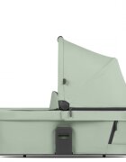ABC DESIGN Landou Pine