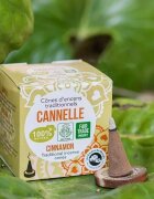Aromandise Conuri parfumate naturale indiene scortisoara 12 bucati