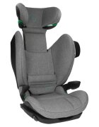 AVIONAUT Scaun auto MaxSpace Smart Grey