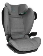 AVIONAUT Scaun auto MaxSpace Smart Grey