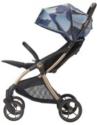 Avova Carucior City Ranger Blue Field