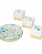 Baby Art Kit amprenta Cutie cadou My Baby Mr Mrs Clynk