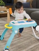 Baby Einstein Centru de activitati 4 in 1 Mix Roll