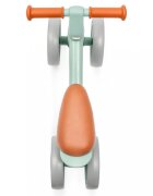 BABY MIX Ride On fara pedale Ride On cu cadru usor din aluminiughidon reglabilroti EVAsezut moale si limitator directie de siguranta Bunny Hop Green