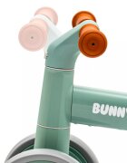 BABY MIX Ride On fara pedale Ride On cu cadru usor din aluminiughidon reglabilroti EVAsezut moale si limitator directie de siguranta Bunny Hop Green