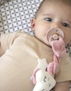 BabyJem Lant suzeta din plus Heart Pink