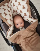 BabyLy Paturica pentru scaun auto Teddy bears