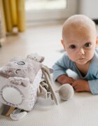 BABYONO Jucarie cub activitati Koala Coco