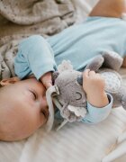 BABYONO Jucarie muzicala Koala Coco