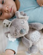 BABYONO Jucarie muzicala Koala Coco