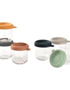 BEABA Set 6 recipiente sticla 250 ml Sunrise Colormix