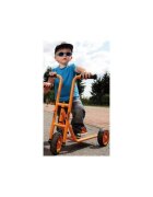 BELEDUC Trotineta Mini Rolly greutate suportata 50 kg varsta 2 ani+