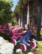 BERG TOYS Kart BERG Buzzy Bloom