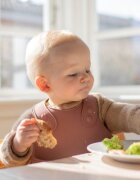 BIBS Bavetica pentru diversificare si hranire blush