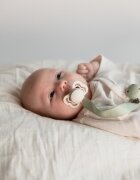BIBS Lantisor clip Ribbon pentru suzeta Sage