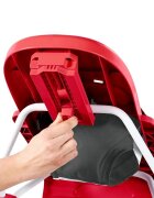 BRIGHT STARTS Premergator si antepremergator 4 in 1 Ford Mustang