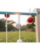 BS Toys Joc 2 in 1 pentru copii Aruncarea discului si scara