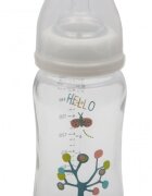 CANGAROO Biberon din sticla cu gat larg 240ml Hello