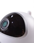 CANGAROO Camera video Wi-Fi Hype