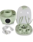 CANGAROO Sterilizator electric pentru 6 biberoane cu functie sterilizare si uscare Verde