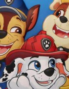 Cerda Geanta termica 3D pentru copii Paw Patrol
