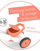 Chillafish Tricicleta pentru copii Bunzi Mate Flamingo 2 in 1 transformabila in bicicleta fara pedale scaun usor reglabil roti din cauciuc sintetic spatiu depozitare jucarii greutate admisa 25 kg