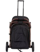 CHIPOLINO Carucior sport Combo obsidian gold