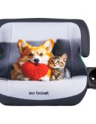 CHIPOLINO Inaltator auto pentru copii Go Boost Corgi I-Size 125-150 cm