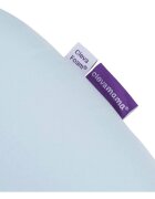 Clevamama Pozitionator Blue pentru bebelusi 3210