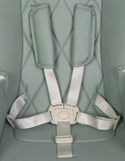 Colibro Scaun de masa multifunctional 2 in 1 pliabil reglabil pe inaltime cu Centura de siguranta si 2 tavite de servire Noto Agava