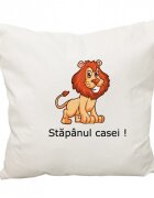 DESEDA Perna cu husa detasabila Imprimata personalizata 40x40 cm