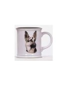 DIVERSE Cana cu catel rasa german Shepherd in relief