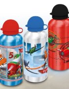 DIVERSE Recipient pentru apa 500ml Planes