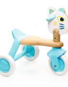 Djeco Tricicleta pentru copii din lemn fara pedale recomandata copiilor de la 12 luni inaltime ezut 24 cm