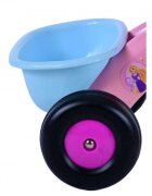 EandL Cycles Tricicleta pentru copii Disney Princess varsta 1-3 ani cos transport pe ghidon greutate maxima admisa 25 kg