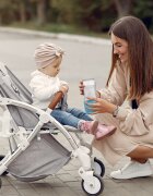 EASYCARE BABY Set 2 in 1 incalzitor electric portabil pentru biberoane si dozator lapte praf