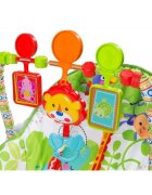 Ecotoys Balansoar cu vibratii 3 in 1 8616 Jungla