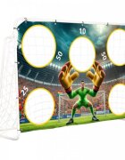 Ecotoys Poarta de fotbal 180 x 122 cm cu covoras de antrenament