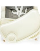 Ecotoys Scaun de masa 2 in 1 HA-004 gri