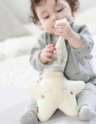 Fehn Jucari muzicala Steluta somnoroasa