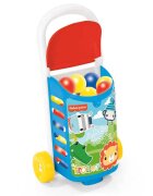 FISHER PRICE Carucior cu bile